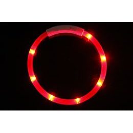 Reedog Light-up Collar with Apple Airtag Case