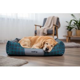 Reedog Bed Blue Strips