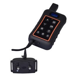 Halsband und Empfänger Patpet T400