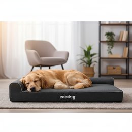 Hundebett Reedog Comfy Black