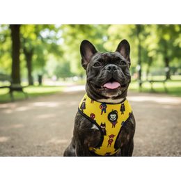 Reeedog sötétben világító hám kutyáknak