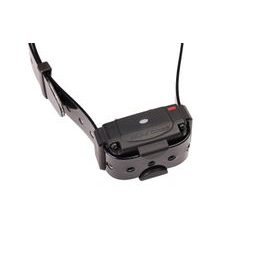Halsband und Empfänger PetSafe® Stay + Play Add-A-Dog