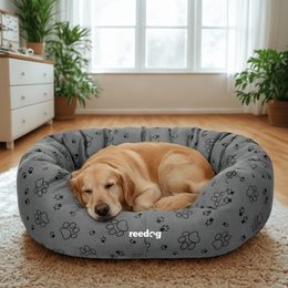 Reedog Pelíšek Ponton Black