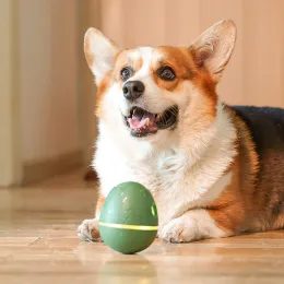 Foobler Mini Ball für Hunde und Katzen