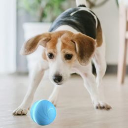 Reedog yellow foam ball ø 9cm