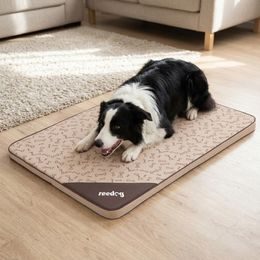 Reedog Legowisko Pianki Black Paws