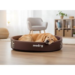 Reedog Bed Blue Strips