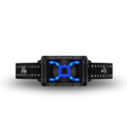 Reedog DF-213 Zaun- und Trainingshalsband
