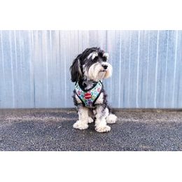 Dukier DOGTELLA