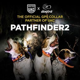 Dogtra Pathfinder 2 - GPS y collar de adiestramiento