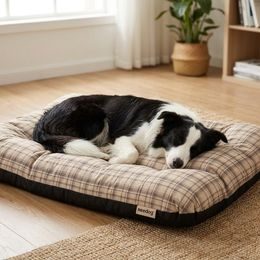 Reedog Iglú Light Paw