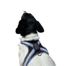 Reeedog sötétben világító hám kutyáknak