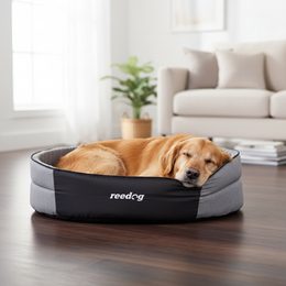 Reedog Igloo Light Paw