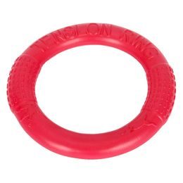 Anillo de adiestramiento para perros Reedog