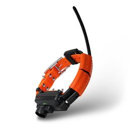 Kürzeres Halsband für einen weiteren Hund - DOG GPS X25T Short