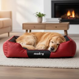 Reedog Taška Torby Grey