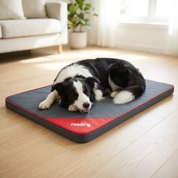 Reedog Podkładka Thin Brown Point