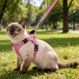 Reedog dentální hračka pro psy