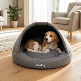 Reedog Pat Pianki Gri Ekolen