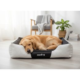 Reedog Bed Blue Strips
