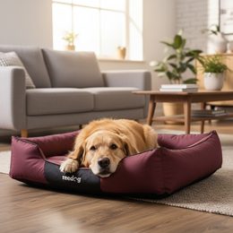 Reedog Bed Comfy Bordo