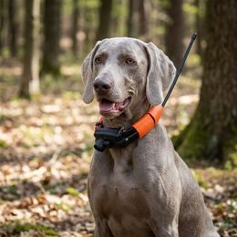 Receiver - handheld device for DOG GPS X40