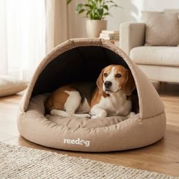 PETKIT Ever Travel Bag