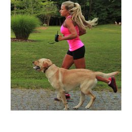 Used - PetSafe® Standard 100m