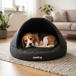 Reedog LEO harness