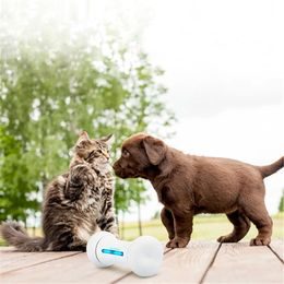 Reedog dental ball