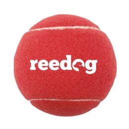 Pelota de tenis para perro Reedog - XS