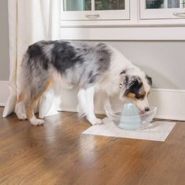 Petwant W4S1 wireless pet fountain