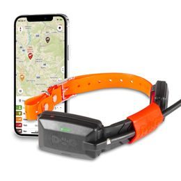 A shorter collar for another dog - DOG GPS X30 Short