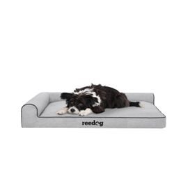 Reedog Standard Inari Gray and Blue Hundehaus