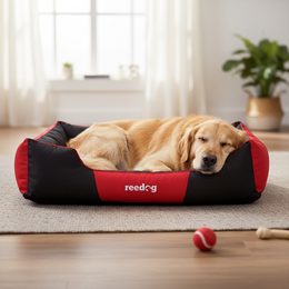 Reedog Bed Comfy Bordo