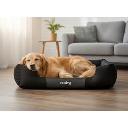 Kutyafekhely Reedog Grey Standard