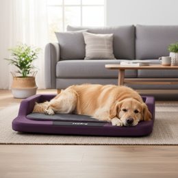Kutyafekhely Reedog Grey Standard