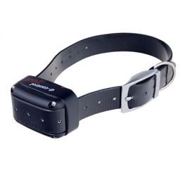 Reedog SP32
