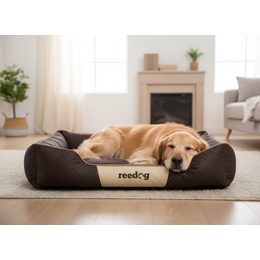 Reedog Bed Amazing Biege