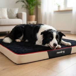 Reedog Matrace Elis Grey Cordura