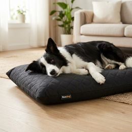 Reedog Materac Cover Red s potahem