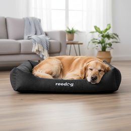 Reedog Materac Plus Black Manšestr