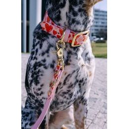 Reedog BioThane Heart Walking Set COLLAR + LEAD