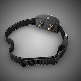 Collar and receiver Dogtra iQ / iQ Plus