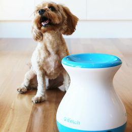 Lanzador automático de pelotas iFetch Original