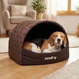 Reedog Nest Brown Paw