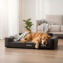 Reedog Bed Glamour Fancy Black