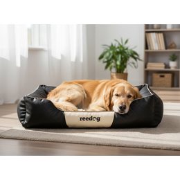 Kutyafekhely Reedog Black & Red Perfection