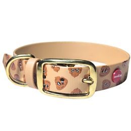 Reedog Hovínka BioThane Collar