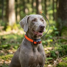 Receiver - handheld device for DOG GPS X40